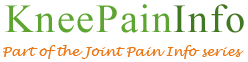 Knee Pain Info Logo