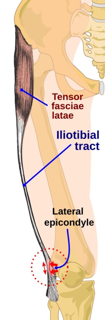 What is Illiotibal Band (ITB) Friction Syndrome? Treatments